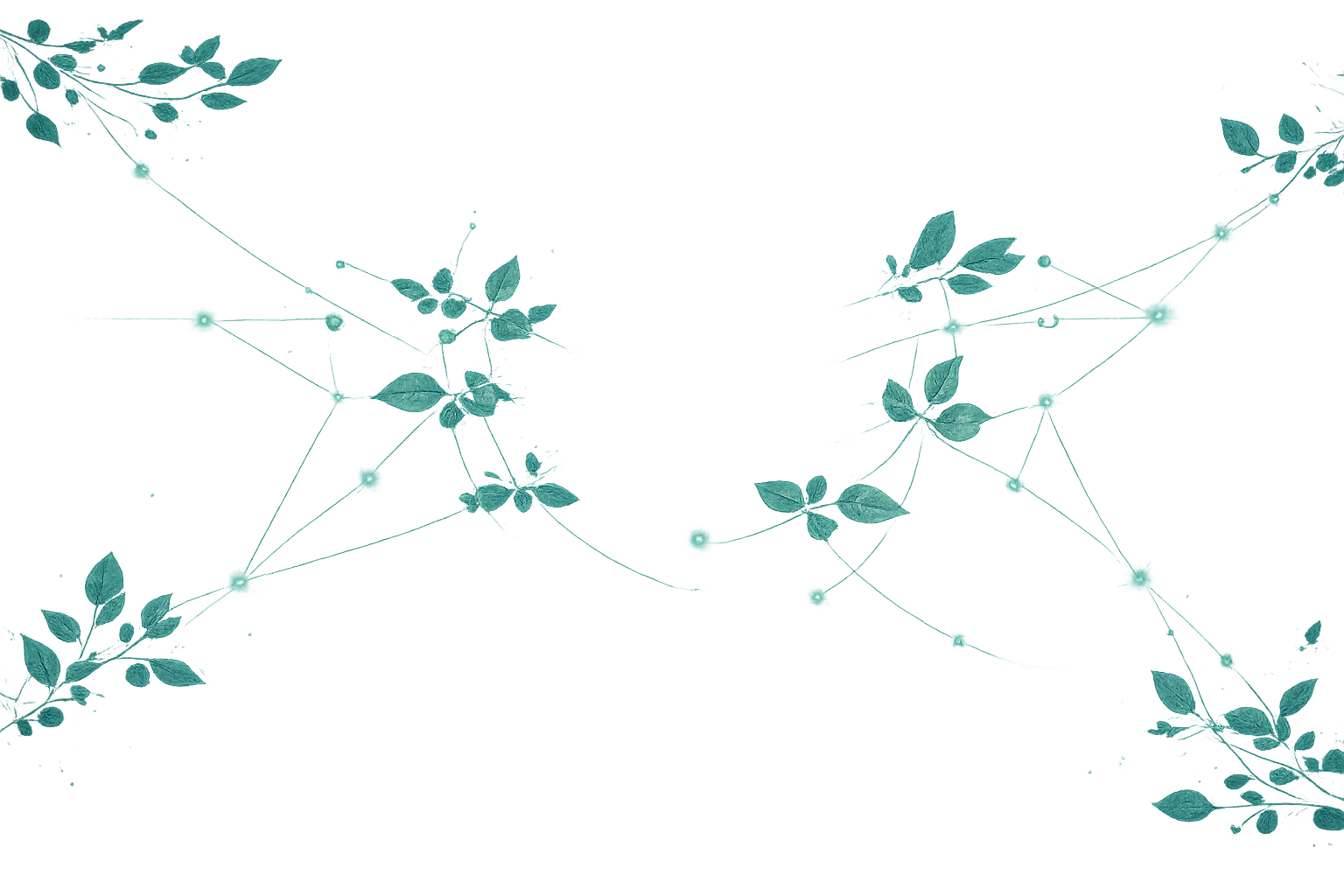 Ecosystem Leaves